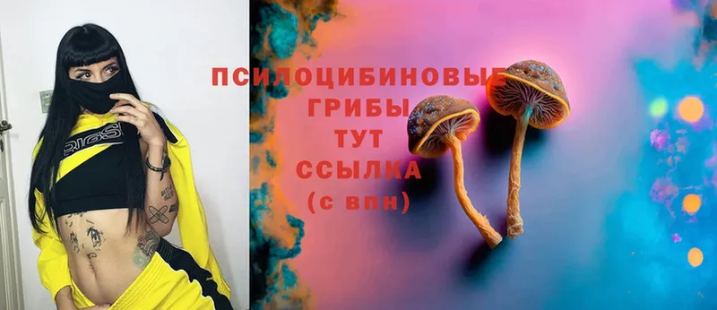 Галлюциногенные грибы Magic Shrooms  Гуково 